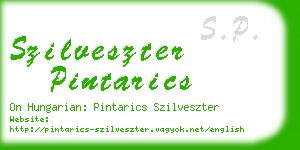 szilveszter pintarics business card